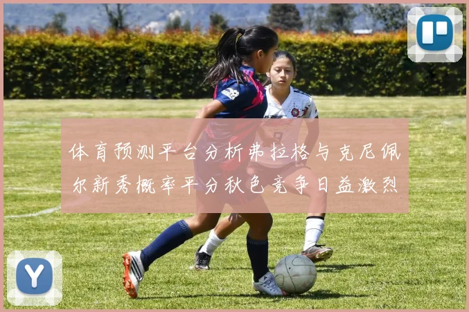 体育预测平台分析弗拉格与克尼佩尔新秀概率平分秋色竞争日益激烈